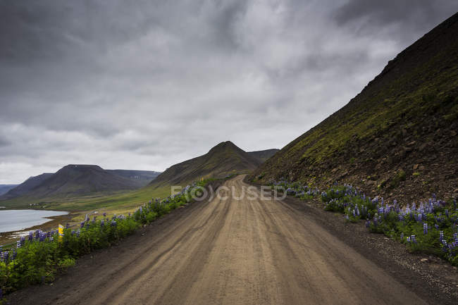 Camino de tierra bajo nubes de tormenta en Islandia - foto de stock
