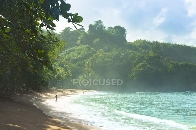 Vista panorámica de la costa del mar en Trinidad y Tobago - foto de stock