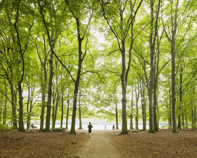Rear view of man running in park — Stock Photo