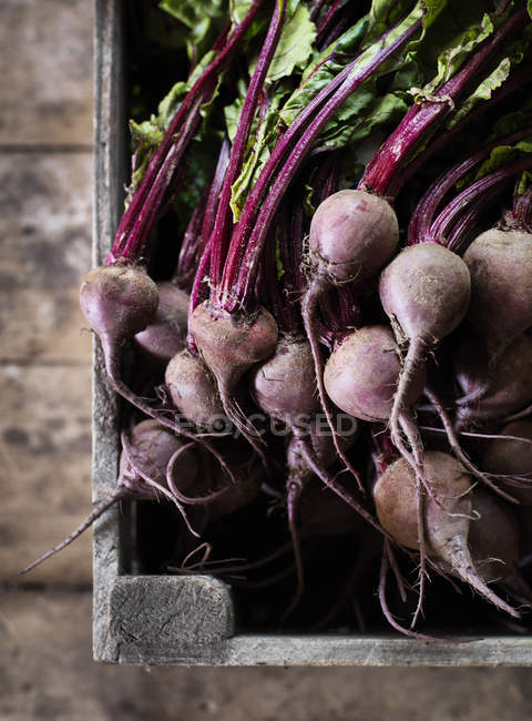Elevated view of beetroots in crate, selective focus — Stock Photo