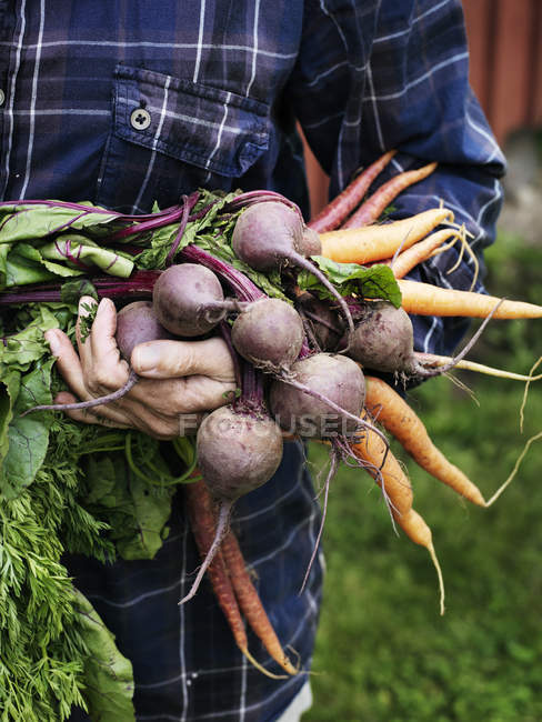 Человек держит кучу овощей, избирательный фокус — стоковое фото