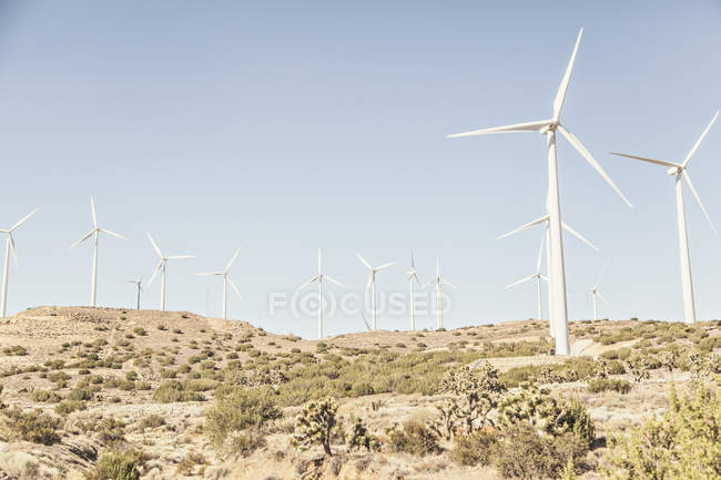 Campo eólico con turbinas eólicas, produciendo energía bajo el cielo azul - foto de stock