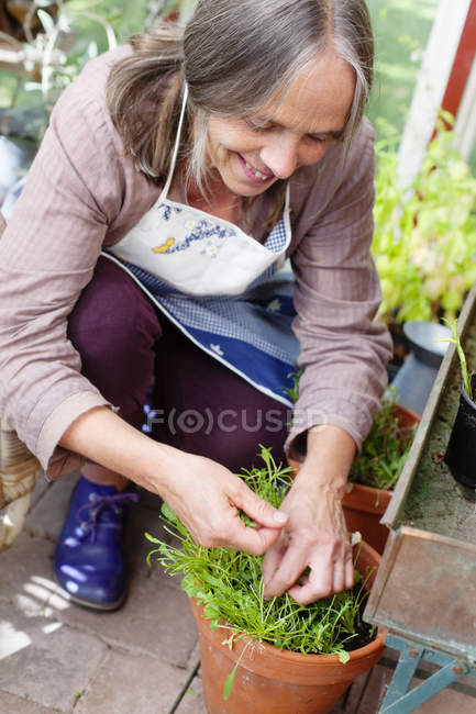 Woman working in domestic garden, differential focus — Stock Photo
