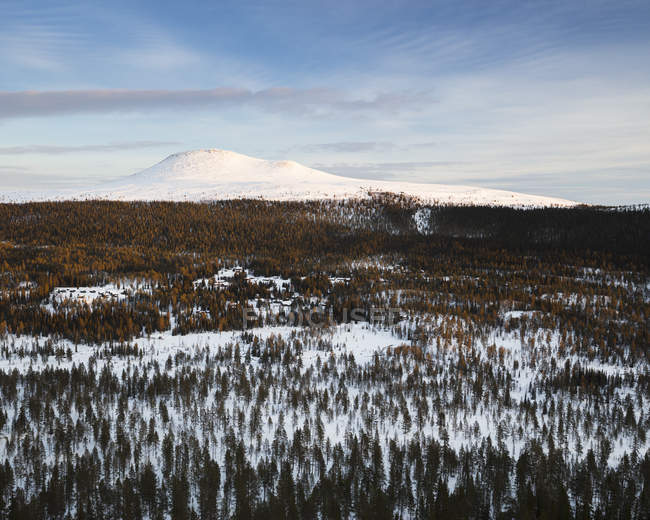 Vista panorâmica da floresta e da montanha durante o inverno — Fotografia de Stock