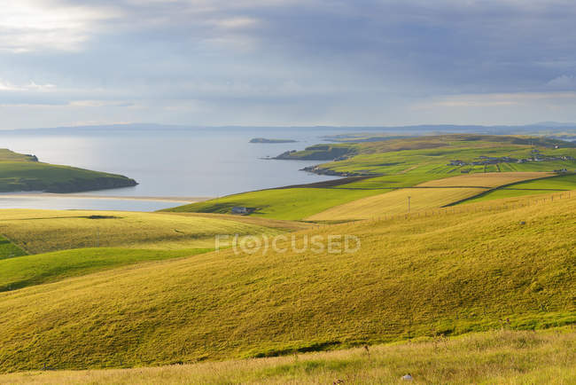 Coastal landscape of field in Shetland, Scotland — Stock Photo