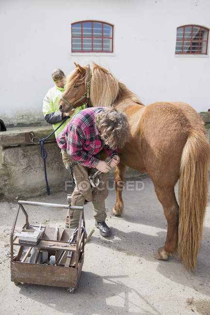 Senior homme nettoyage fer à cheval, mise au point sélective — Photo de stock