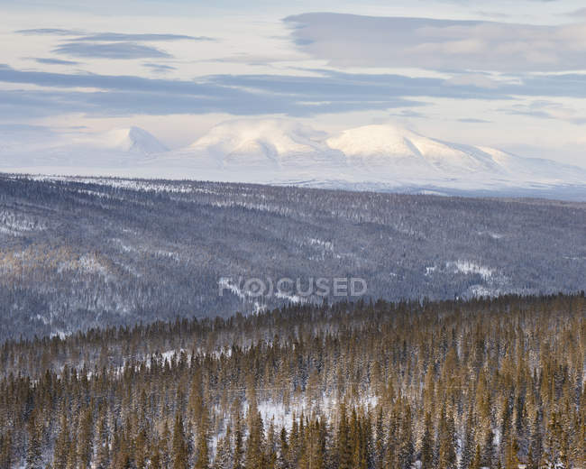 Forêt et montagnes en hiver à Hedmark, Suède — Photo de stock