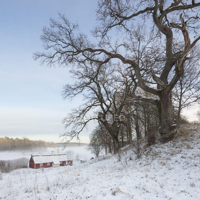 Мальовничий вид на будинок у снігу взимку — стокове фото