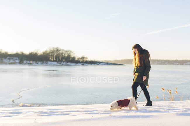 Junge Frau mit Hund im Winter — Stockfoto