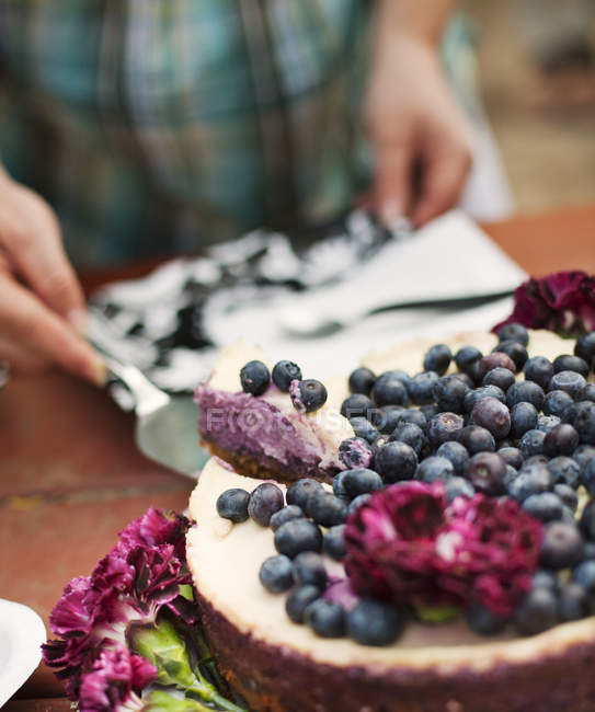Woman serving blueberries cake, selective focus — Stock Photo