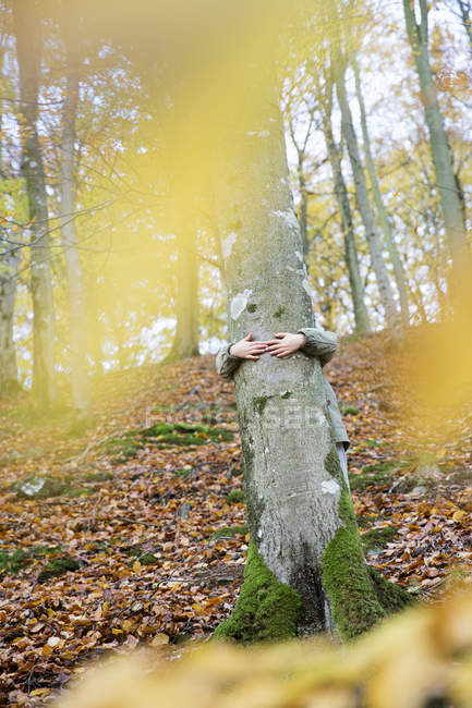 Braccia di ragazza che abbraccia albero a foresta — Foto stock