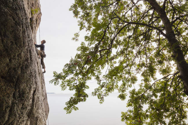 Вид сбоку взрослого мужчины средних лет, лазающего по скале — стоковое фото