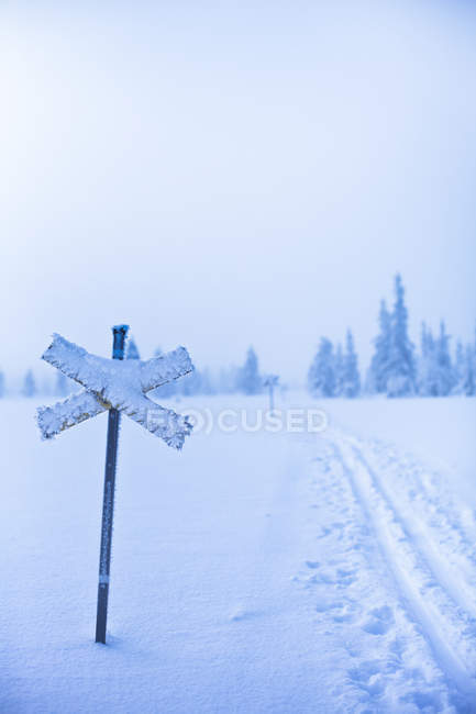 Cross sign by ski tracks with pine forest in background at winter — Stock Photo