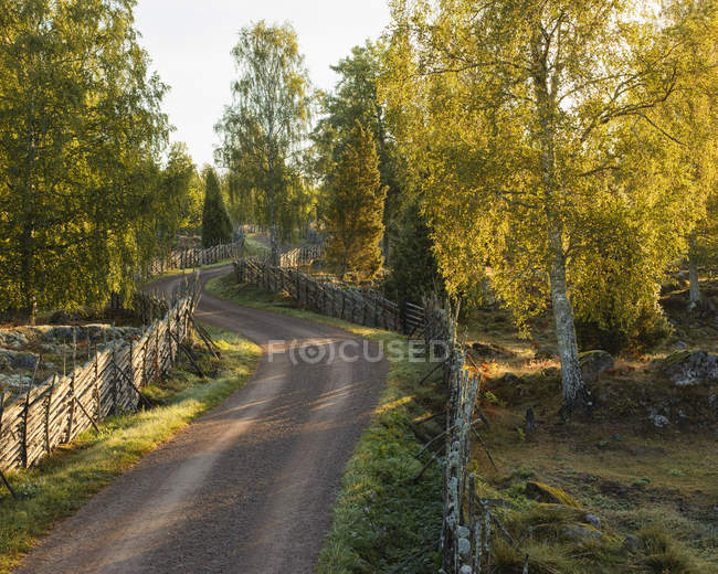 Vue panoramique sur la route rurale, Suède — Photo de stock