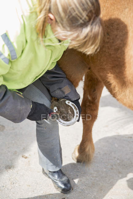 Woman cleaning horseshoe, selective focus — Stock Photo