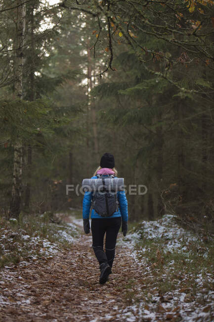 Retrovisore di donna trekking attraverso la foresta a Lerum, Svezia — Foto stock
