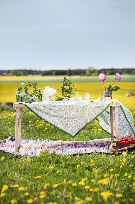 Tavolo in legno nel prato in primavera, attenzione differenziale — Foto stock