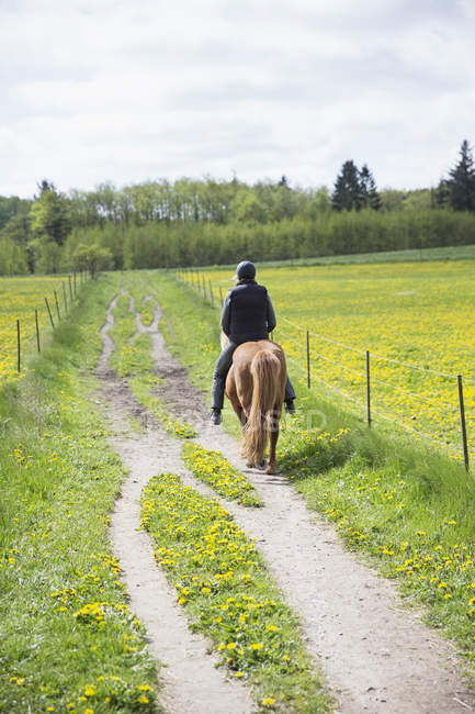 Visão traseira da mulher montando cavalo — Fotografia de Stock