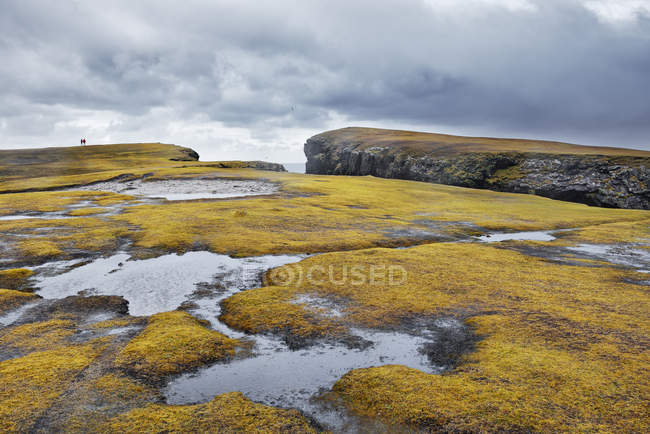 Vue panoramique sur les falaises rocheuses des Shetland, en Écosse — Photo de stock