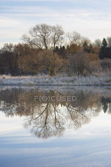 Árboles a orillas del lago reflejándose en el agua en otoño - foto de stock