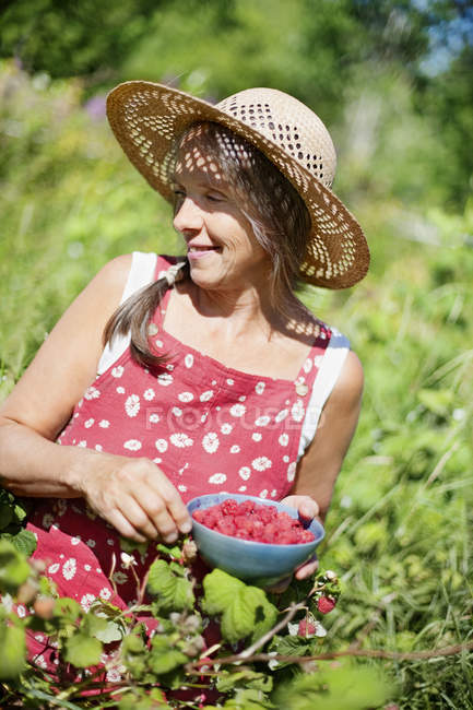 Woman picking raspberries, selective focus — Stock Photo