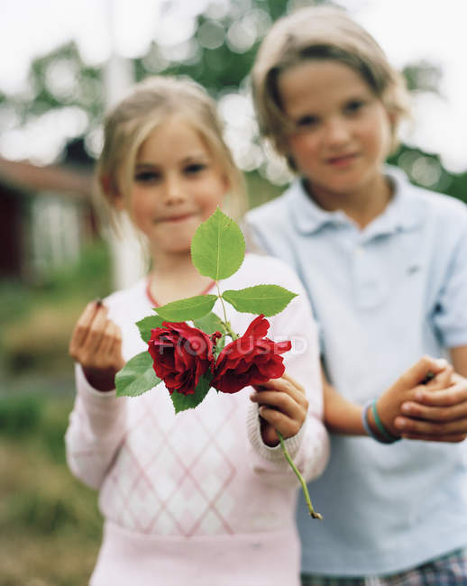 Nahaufnahme roter Rosen, Junge und Mädchen im Hintergrund — Stockfoto