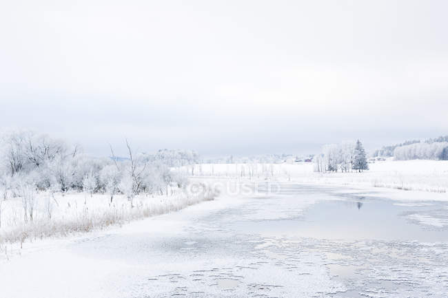 Scenic view of frozen river in winter — Stock Photo