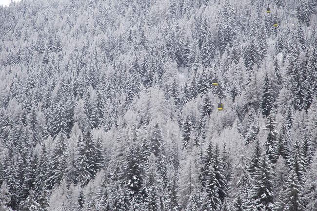 Vista panoramica della neve sugli alberi a La Thulie, Italia — Foto stock