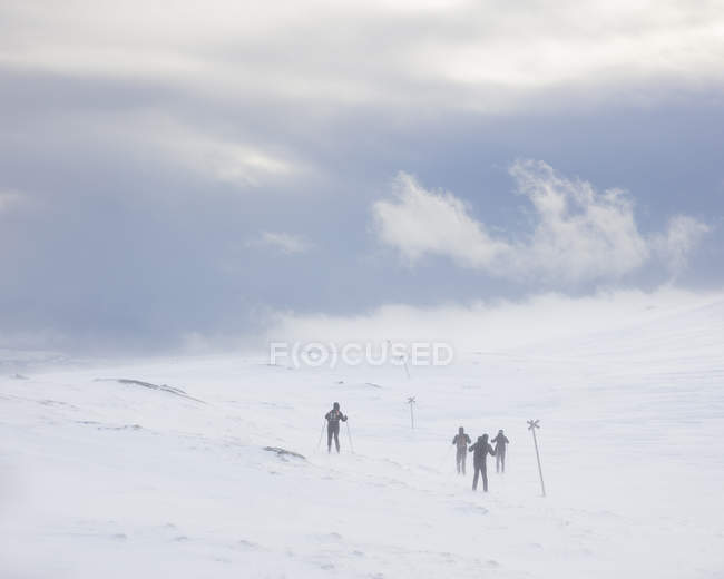 Rear view of skiers in Are, Sweden — Stock Photo