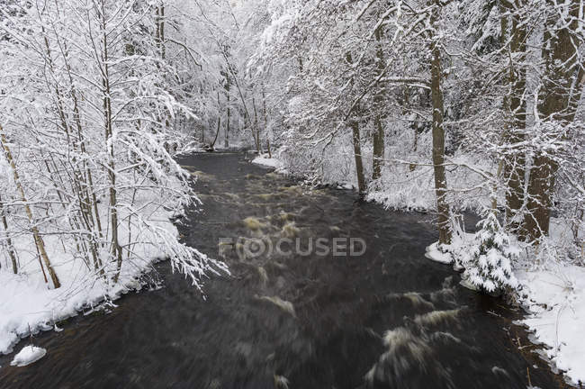 Corriente en el bosque de invierno, movimiento borroso - foto de stock