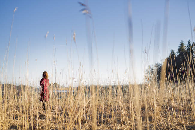 Jeune femme debout dans le champ à la lumière du soleil — Photo de stock