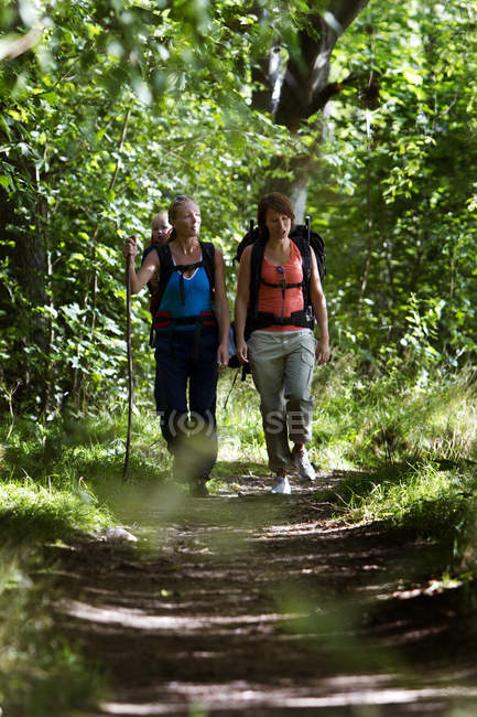 Duas mulheres caminhando na floresta com o menino — Fotografia de Stock