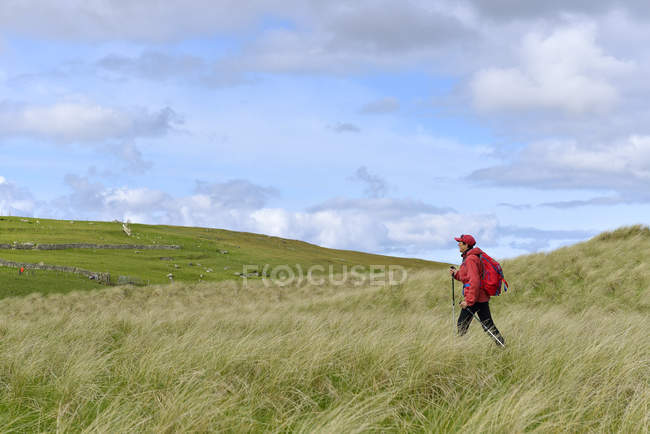 Vue latérale de la femme âgée randonnée dans les prairies — Photo de stock