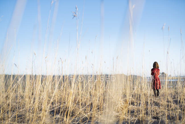 Jeune femme debout dans le champ, foyer sélectif — Photo de stock