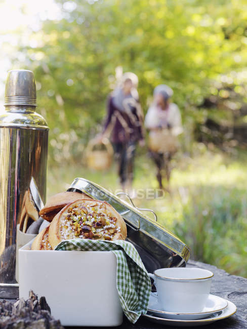 Primer plano de la comida de picnic, enfoque selectivo - foto de stock