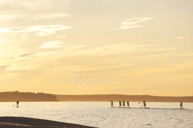 People paddleboarding on lake at sunset — Stock Photo