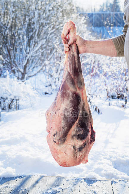 Мясник держит сырое мясо оленины, сосредоточиться на переднем плане — стоковое фото