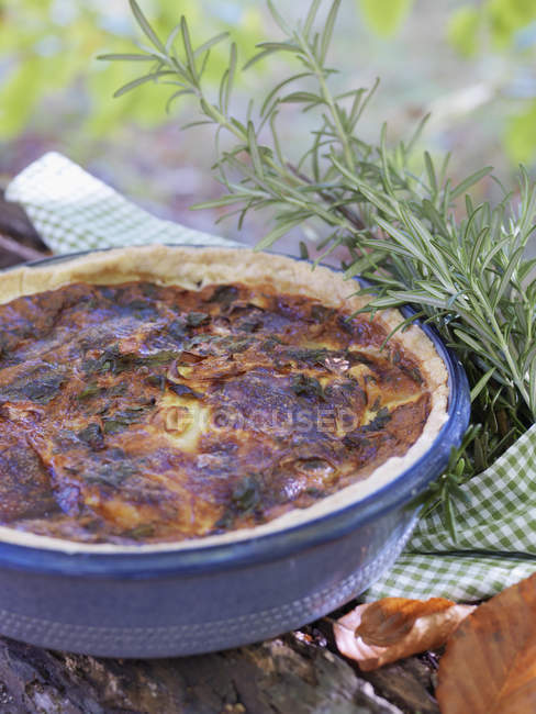 Quiche with chanterelle mushrooms, differential focus — Stock Photo