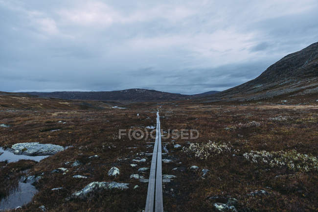 Straight empty road through meadows — Stock Photo