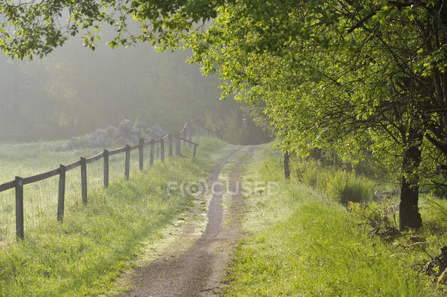 Fence along country road, stockholm archipelago — Stock Photo