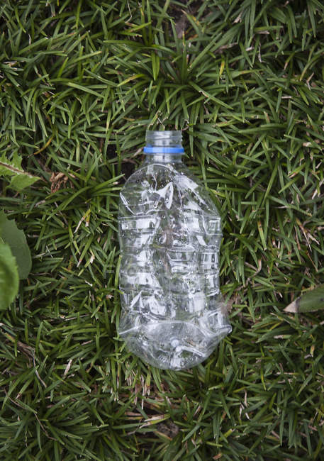 Vista superior de la botella de plástico triturado en la hierba - foto de stock