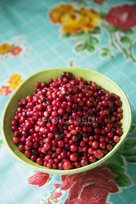 Elevated view of bowl with cranberries on table — Stock Photo