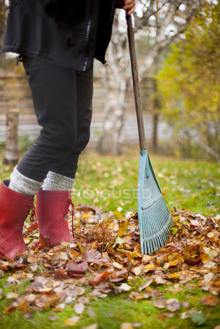 Seção baixa de mulher usando botas de borracha raking folhas de outono — Fotografia de Stock