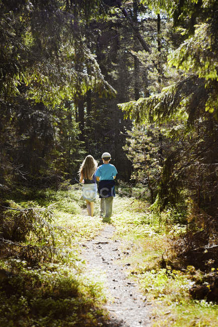 Vue arrière des enfants marchant sur le sentier en forêt — Photo de stock