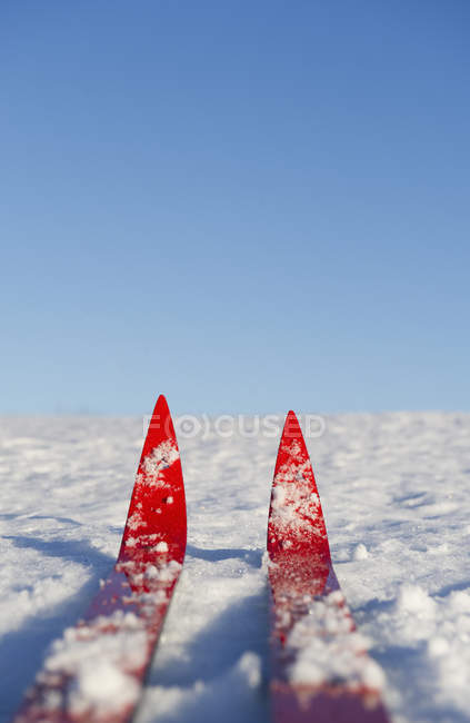 Blick auf rote Skier Paar auf Schnee im Sonnenlicht — Stockfoto