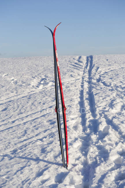 Par de esquís rojos en la nieve en la luz del sol brillante - foto de stock