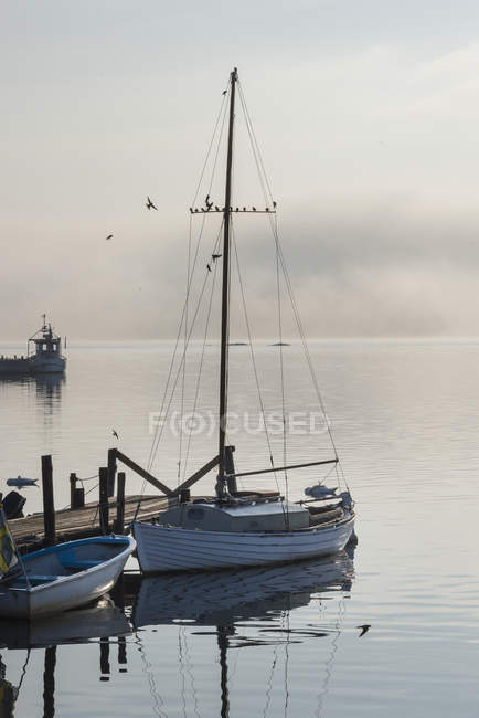 Iates na marina de manhã, Gamla Oxelosund — Fotografia de Stock