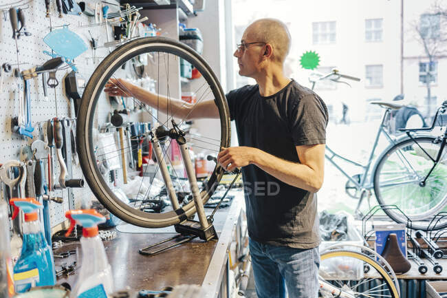 Piccolo imprenditore di negozio di biciclette — Foto stock