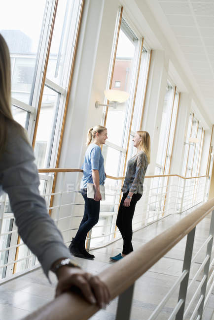 Mujeres jóvenes comunicándose en la universidad - foto de stock