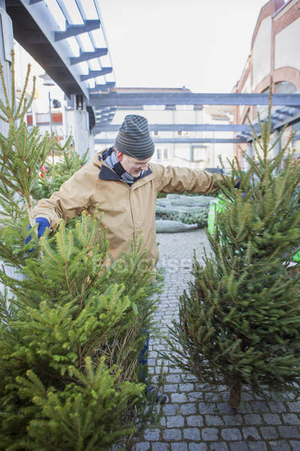 Mature man in warm clothing shopping for Christmas tree — Stock Photo